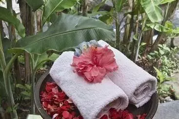 Hotel Darmada Eco Resort