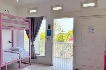 旅馆 Mad Monkey Kuta Lombok