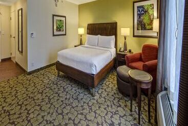 Hotel Hilton Garden Inn Memphis/wolfchase Galleria