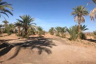 ベッドアンドブレックファースト Kasbah Mashallah