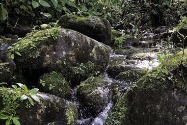 مبيت وإفطار Arte De Plumas Birding Lodge