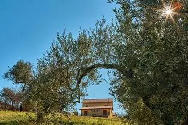 La Casa Del Vino   B&b