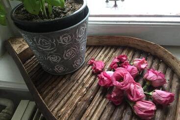 민박 L Atelier Expo Du Grand Island