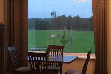 Pensão More Guesthouse