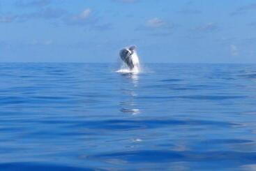 استراحتگاه Ankazoberavina