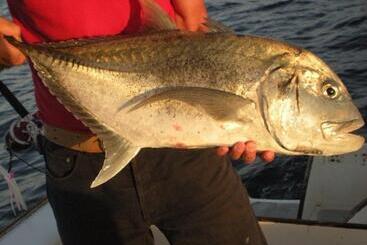 استراحتگاه Ankazoberavina