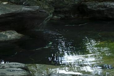 فندق Kyo Yunohana Resort Suisen