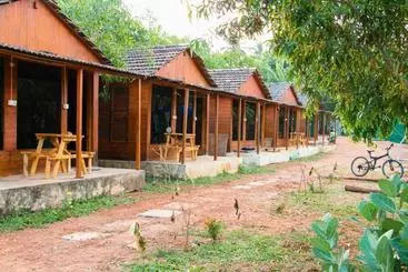 Wonderland Hostel