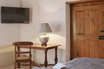 膳宿费 Yellow Aloe