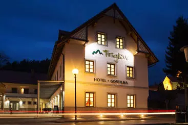Hotel And Guest House Triglav Dobrna