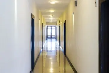 Hotel Treebo Premium Niraali Executive, Hinjewadi