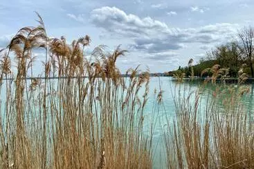 Pension Kékmadaras Vendégház Tihany