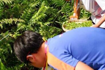 Lomakeskus Phonphusang Utopia Farmstay