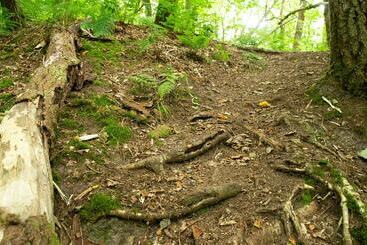 בית מלון כפרי Rønnes