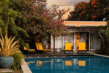 渡假胜地 Orchid Tree Wellness Retreat