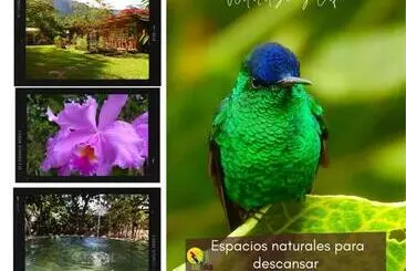 ベッドアンドブレックファースト Eco Lodge Villa Laura