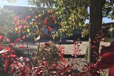 ホテル Gut Weihersmühle