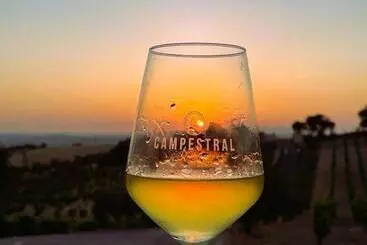 Hotel Bodegas Campestral