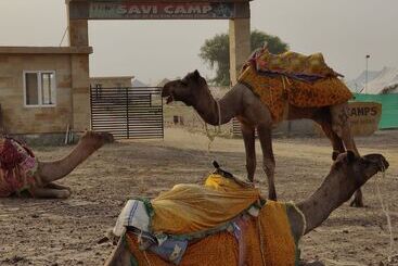 هتل Savi Camps