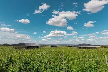 Hotelli Villas Del Malbec Lodge