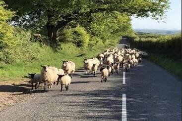 Резиденция Charming 3 Bed House On Exmoor