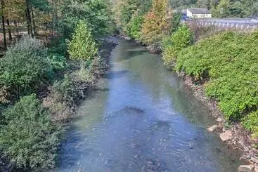 Mökkimajoitus Home On Shared 10 Acres, On Site Trail Access