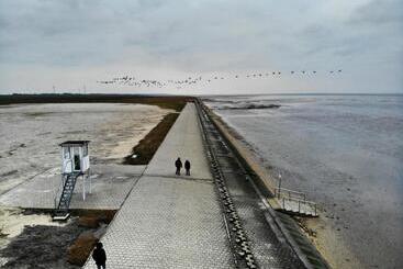 호텔 Carolinensiel Doan