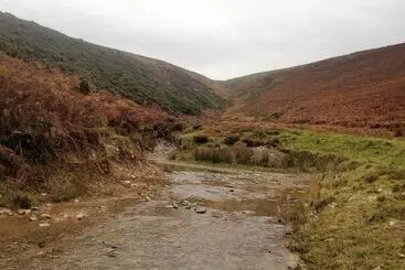 コテージ Relaxing Holidays In The Old Water Mill At Cwmiar