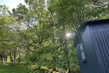 レジデンス Cornwall Woodland Dog Friendly Shepherd S Hut