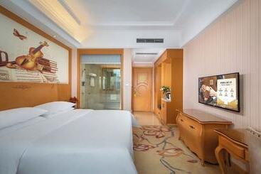 酒店 Vienna International