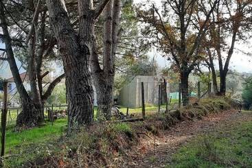 Сельский дом Adore Portugal Bungalow Natureza & Vista De Serra