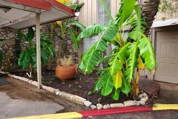 מלון דירות Happy Bay