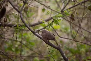 ホテル Darbar   A Heritage Farmstay