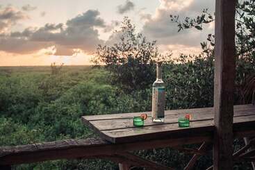 Hotel Hidden Treehouse Tulum Eco
