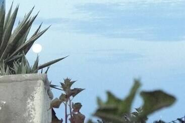 فندق Pousada Alternativa