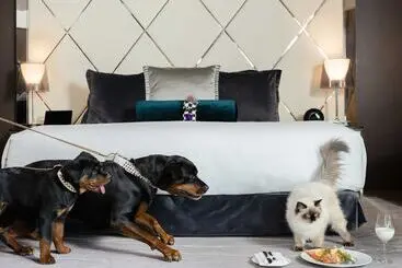 Paradox Hotel Vancouver