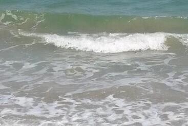 Majatalo Casa Garden Eforie