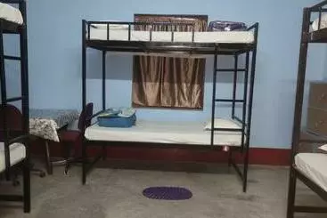 Hostel My Bunk Bed