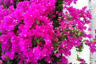 شقق خاصة سياحية 9 Muses Villas