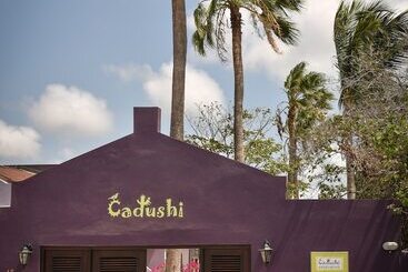 آپارتمانهای توریستها Cadushi Apartments