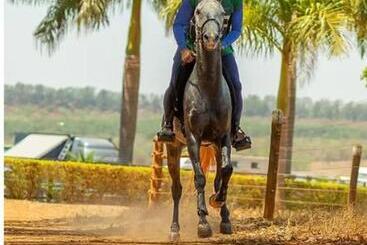 Otel Fazenda Dona Carolina