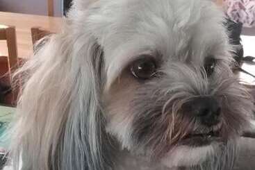 汽车旅馆 Avocado Motor Inn