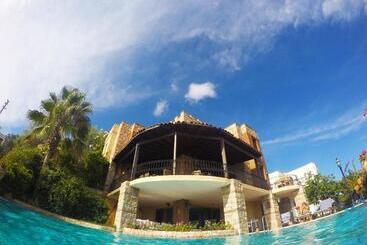 Bed and Breakfast Villa Cosy