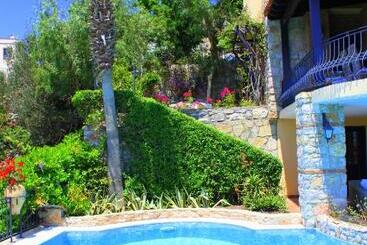 Bed and Breakfast Villa Cosy