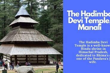 Tiaraa Hotels & Resorts   A Luxury Resort Manali