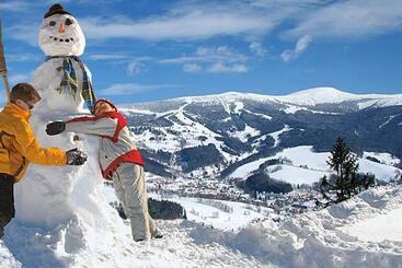 Отель Pension Samohel