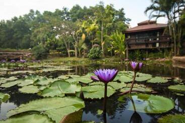 渡假胜地 Debua Valley