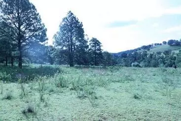 ホテル Campamento Plan De Los álamos