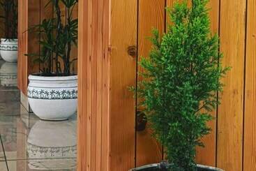 High Sky Resort   Best Luxury Hotel In Dharamkot