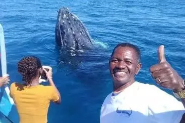 هتل La Baleine